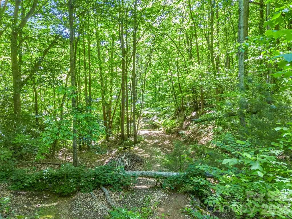 21 Wits End Trail Swannanoa NC 28778