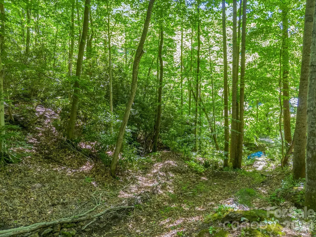 21 Wits End Trail Swannanoa NC 28778