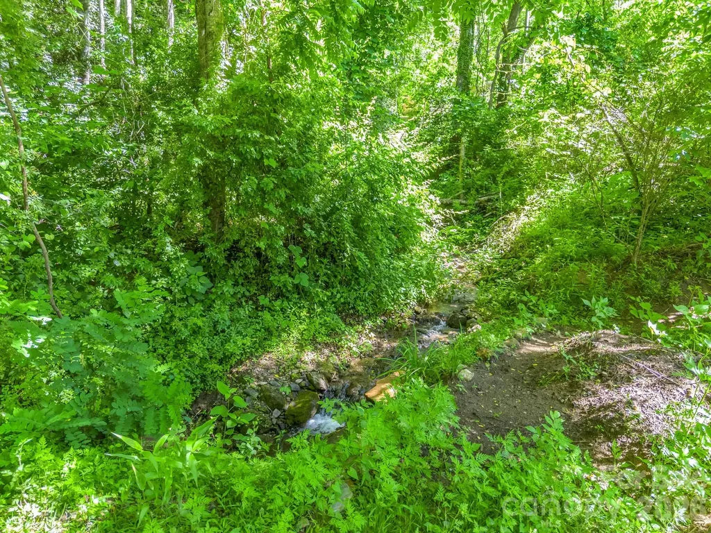 21 Wits End Trail Swannanoa NC 28778