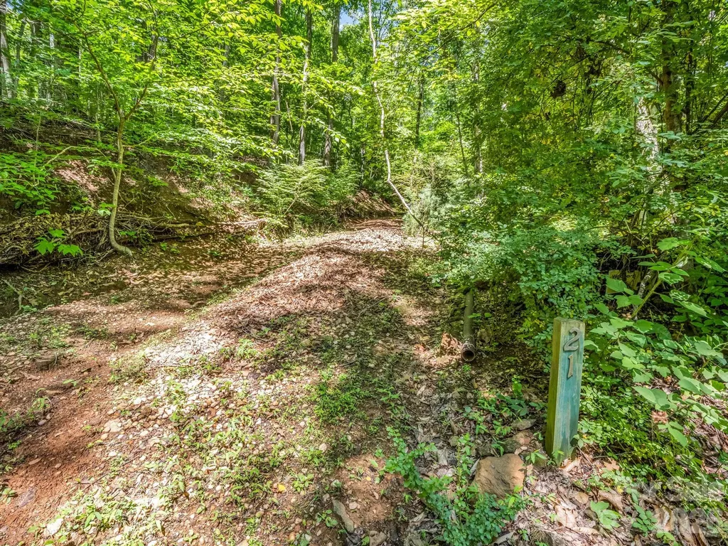 21 Wits End Trail Swannanoa NC 28778