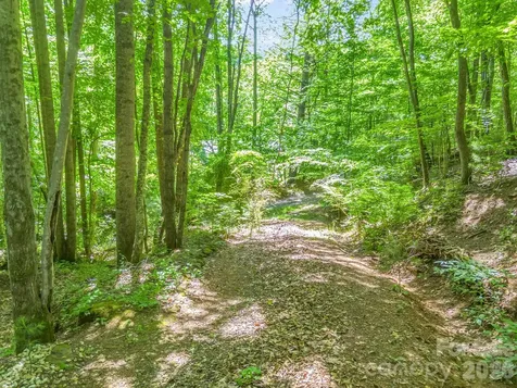 21 Wits End Trail Swannanoa NC 28778