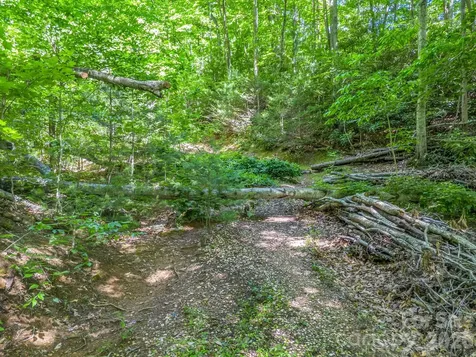 21 Wits End Trail Swannanoa NC 28778