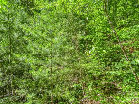 21 Wits End Trail Swannanoa NC 28778