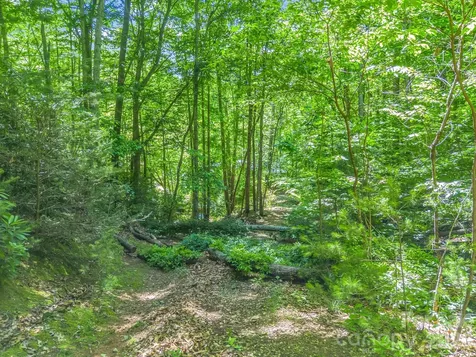 21 Wits End Trail Swannanoa NC 28778