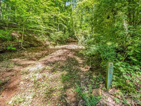 21 Wits End Trail Swannanoa NC 28778