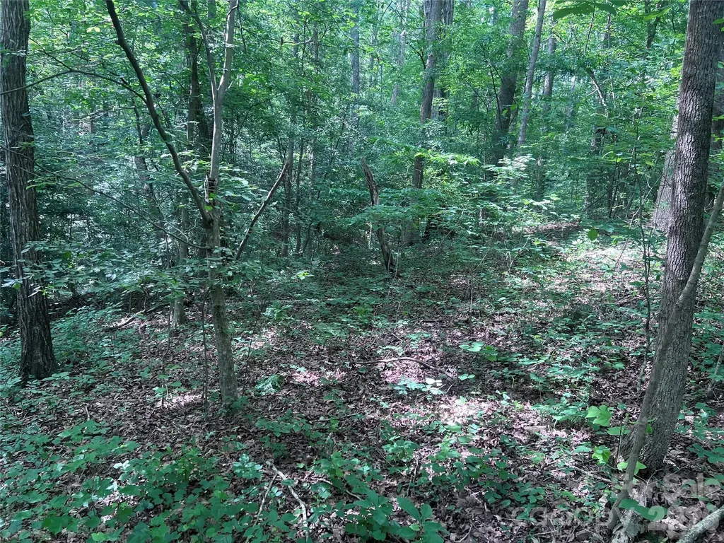 000 Goat Road Catawba NC 28609