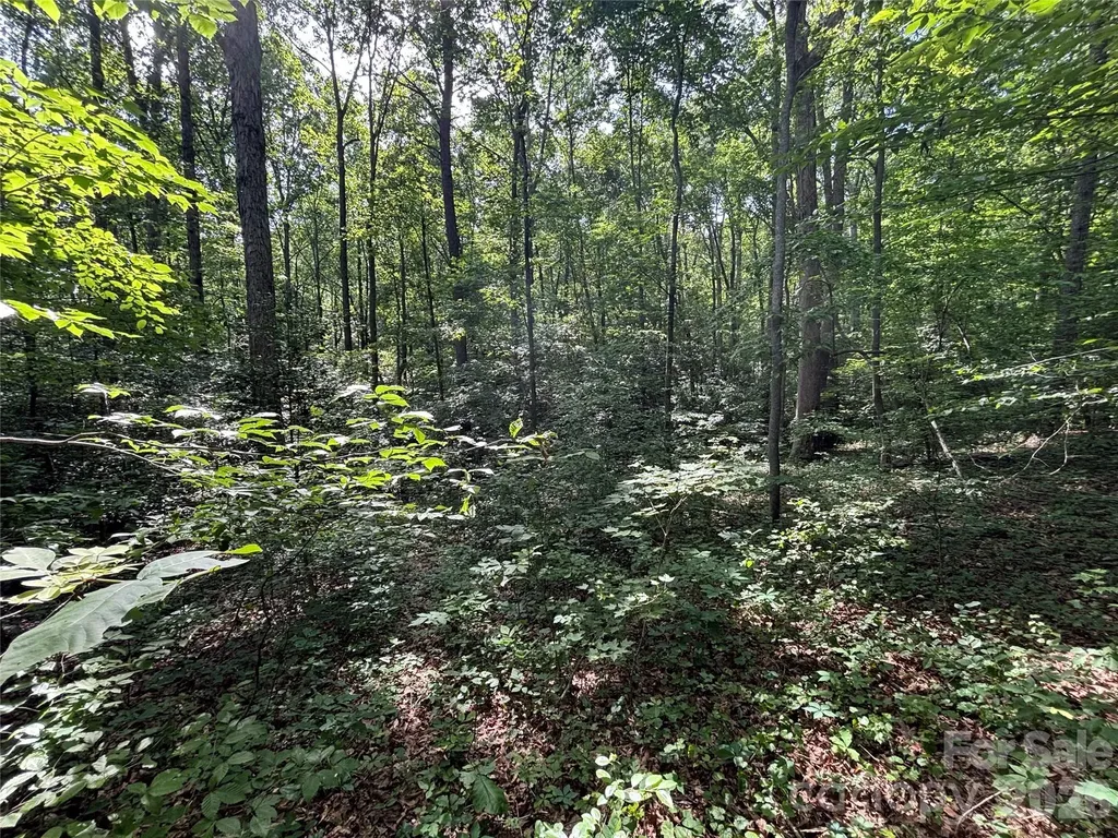 000 Goat Road Catawba NC 28609