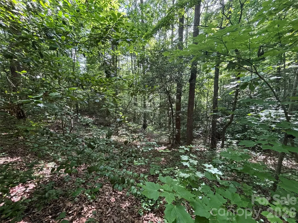 000 Goat Road Catawba NC 28609