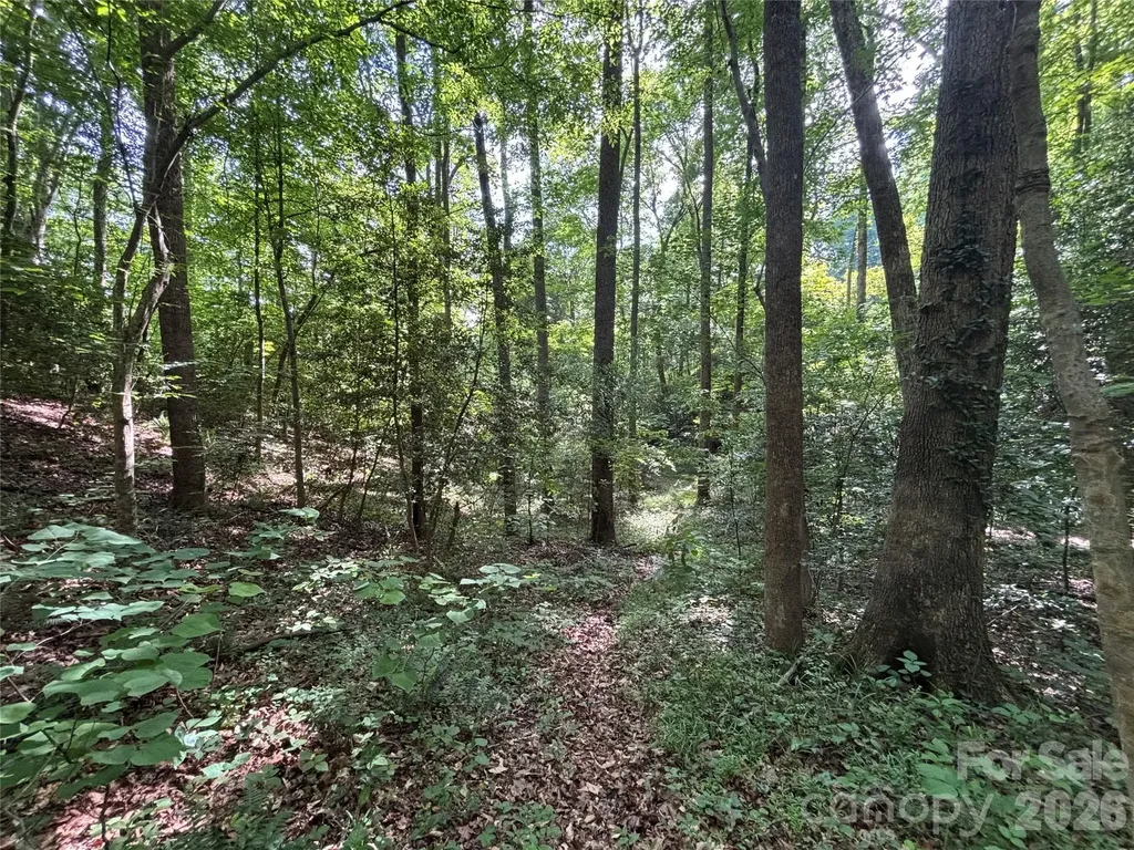 000 Goat Road Catawba NC 28609