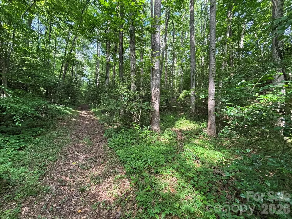 000 Goat Road Catawba NC 28609