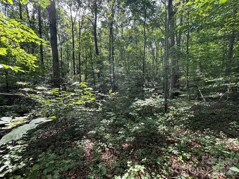 000 Goat Road Catawba NC 28609