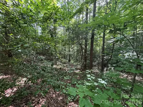 000 Goat Road Catawba NC 28609
