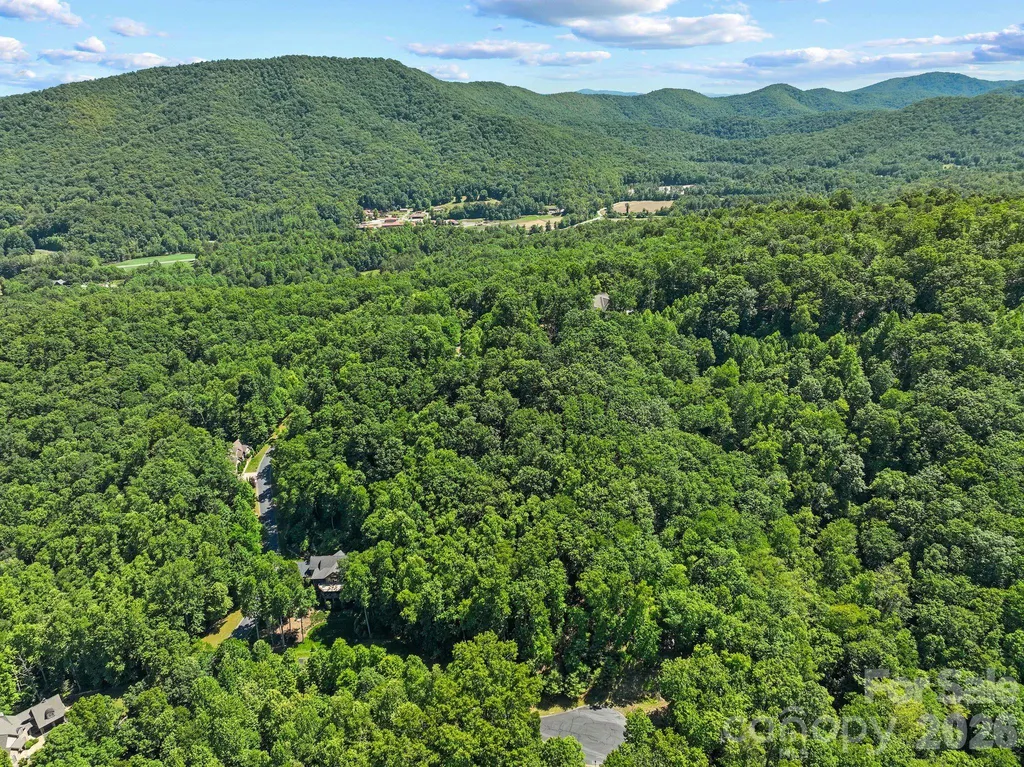 472 Mills River Way Horse Shoe NC 28742