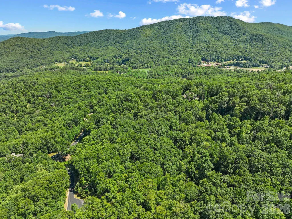 472 Mills River Way Horse Shoe NC 28742