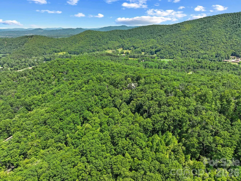 472 Mills River Way Horse Shoe NC 28742