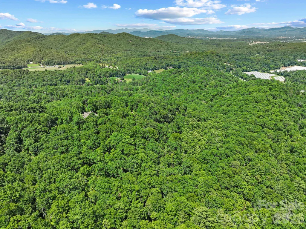 472 Mills River Way Horse Shoe NC 28742