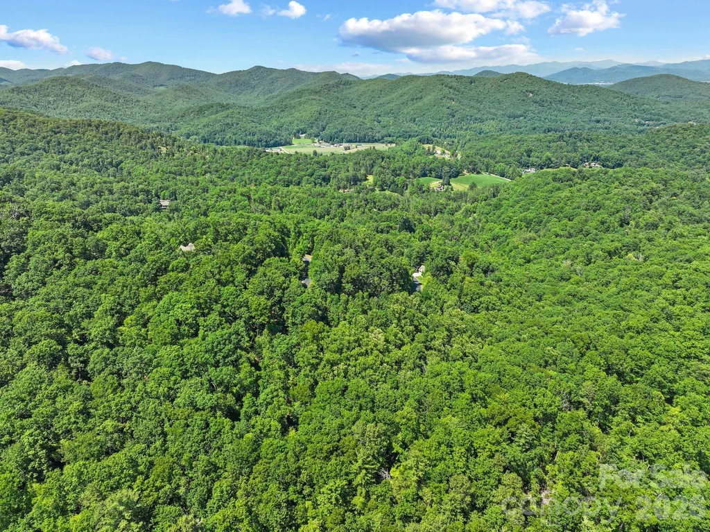 472 Mills River Way Horse Shoe NC 28742