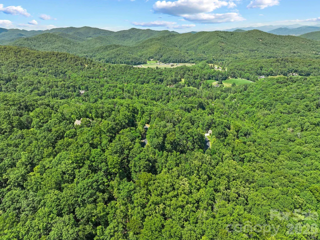 472 Mills River Way Horse Shoe NC 28742