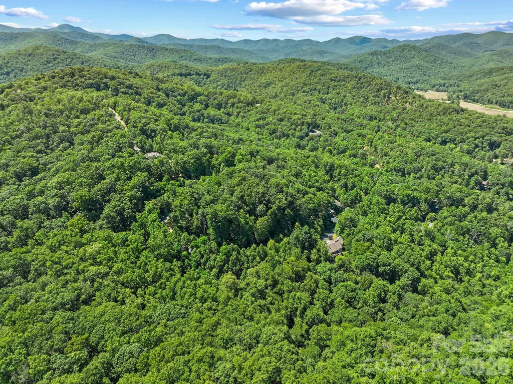 472 Mills River Way Horse Shoe NC 28742