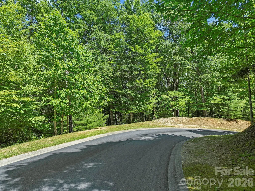 472 Mills River Way Horse Shoe NC 28742