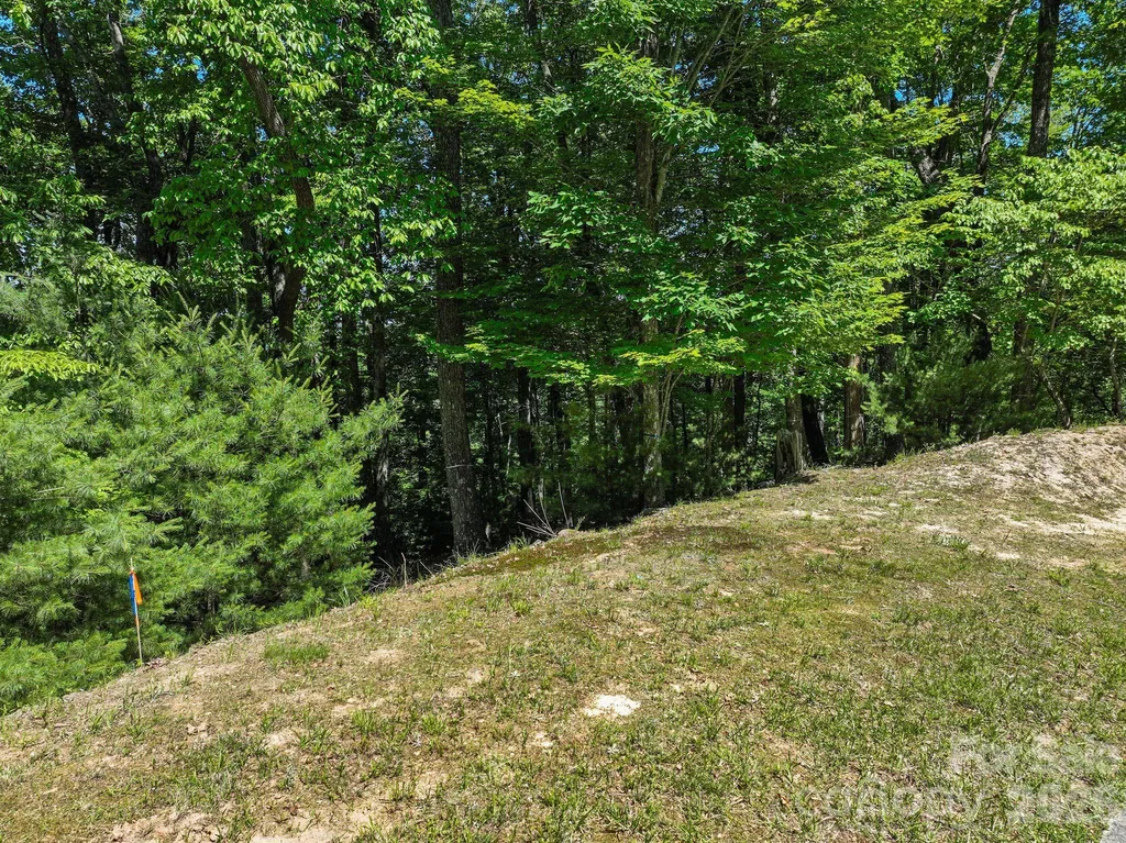472 Mills River Way Horse Shoe NC 28742