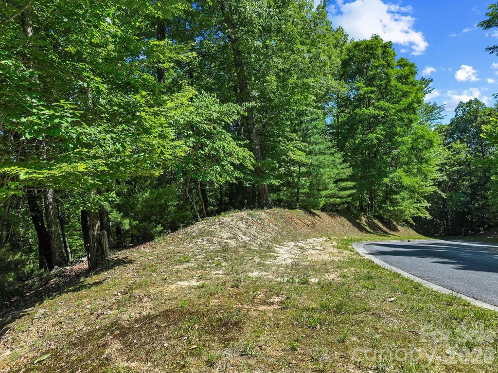 472 Mills River Way Horse Shoe NC 28742