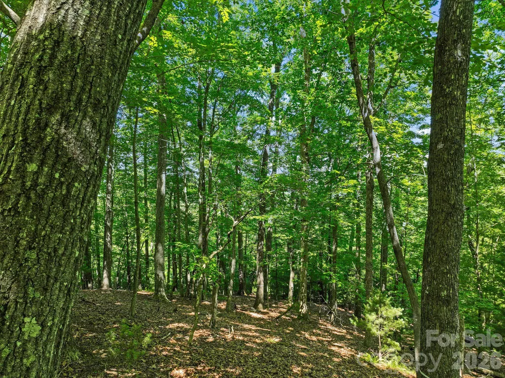 472 Mills River Way Horse Shoe NC 28742