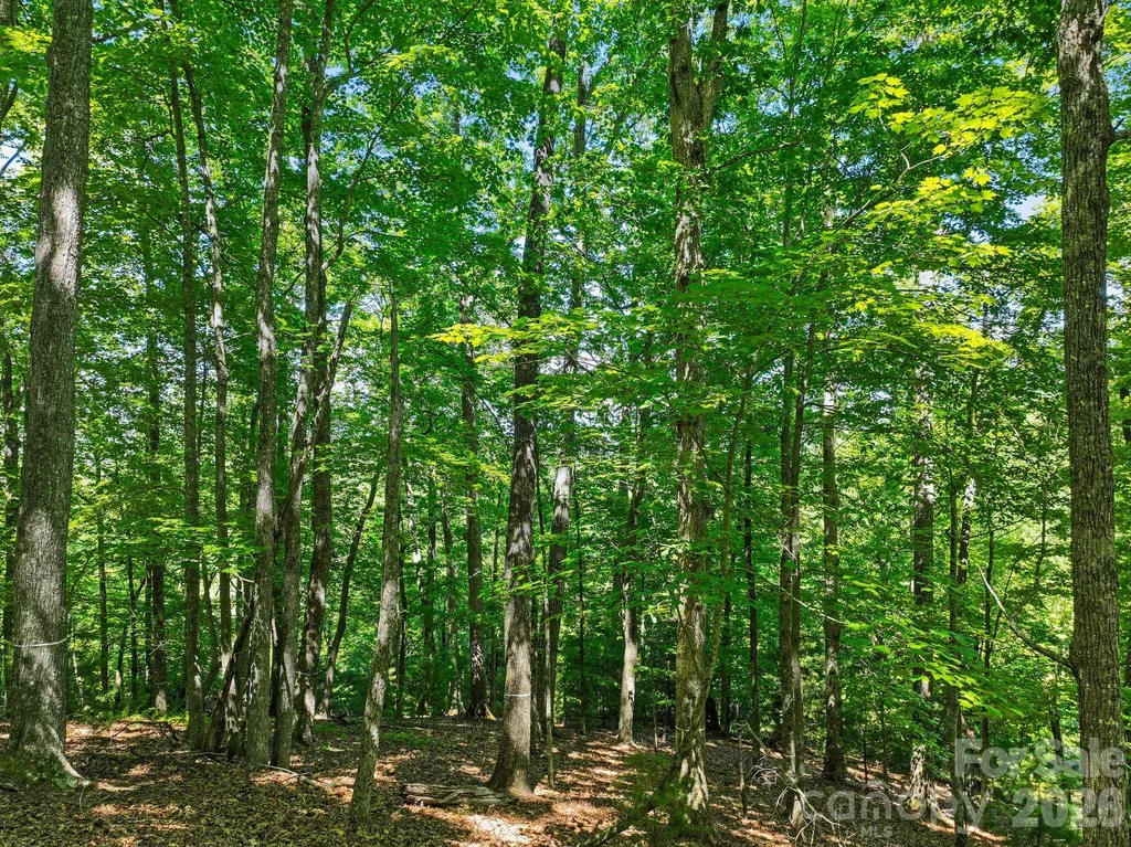 472 Mills River Way Horse Shoe NC 28742