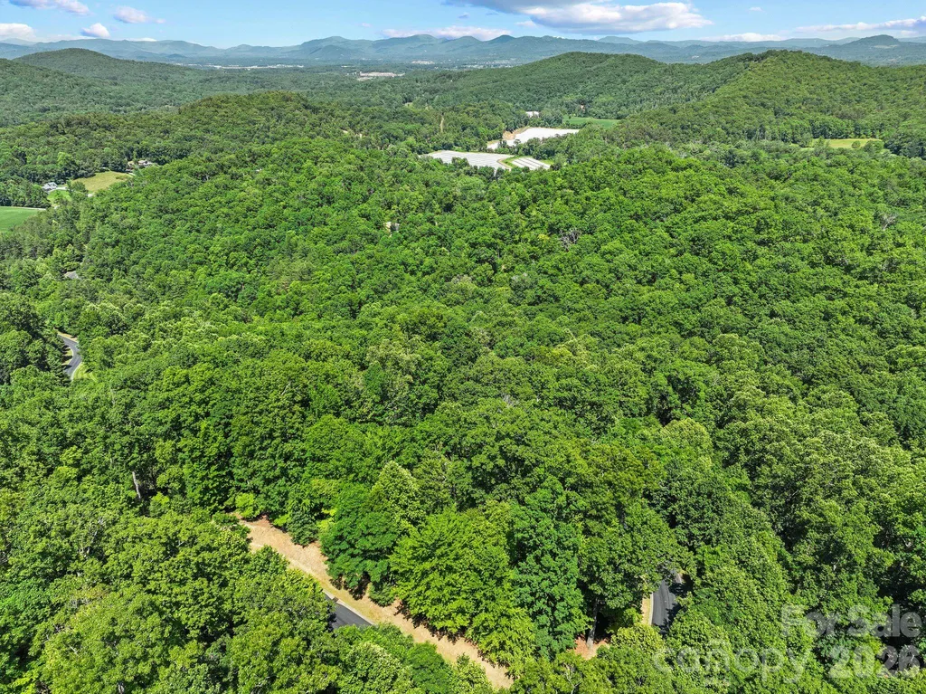 472 Mills River Way Horse Shoe NC 28742
