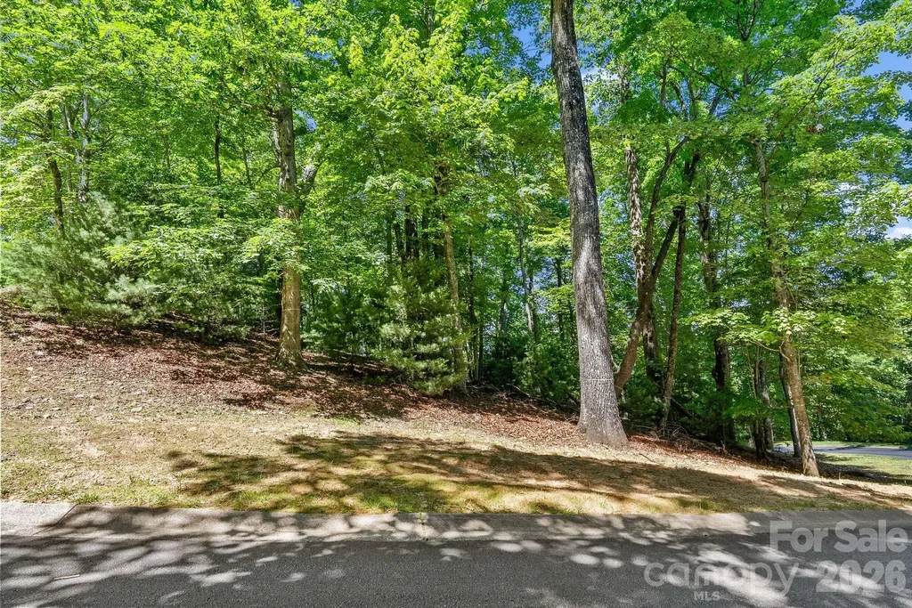 472 Mills River Way Horse Shoe NC 28742