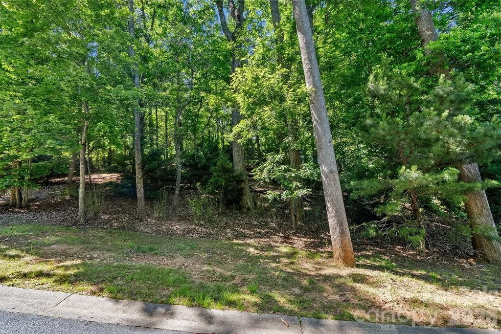 472 Mills River Way Horse Shoe NC 28742