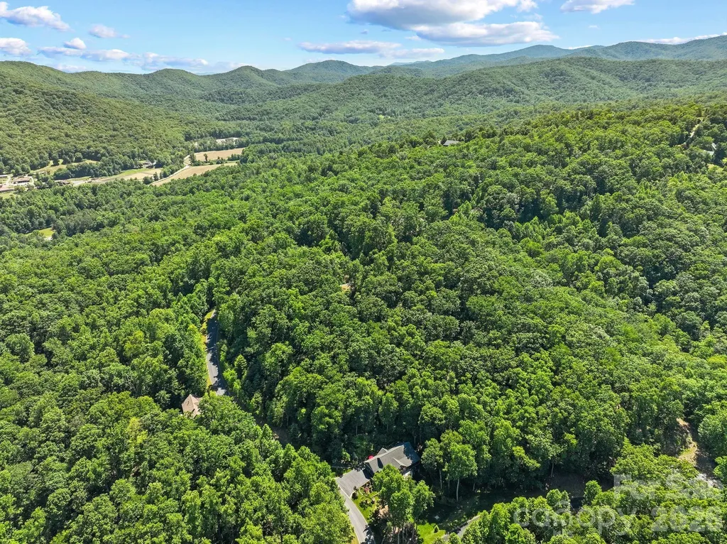 472 Mills River Way Horse Shoe NC 28742