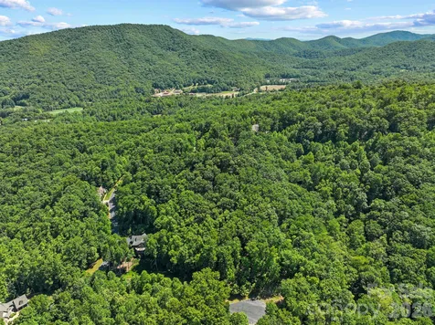 472 Mills River Way Horse Shoe NC 28742