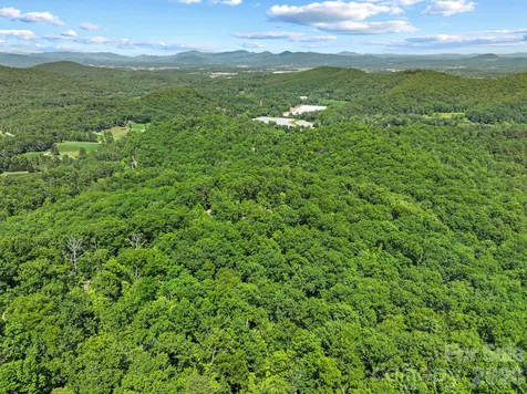 472 Mills River Way Horse Shoe NC 28742
