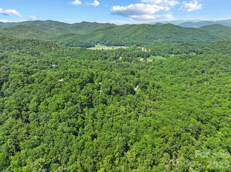 472 Mills River Way Horse Shoe NC 28742
