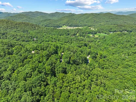 472 Mills River Way Horse Shoe NC 28742