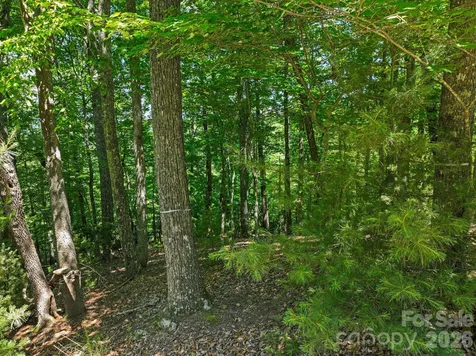 472 Mills River Way Horse Shoe NC 28742