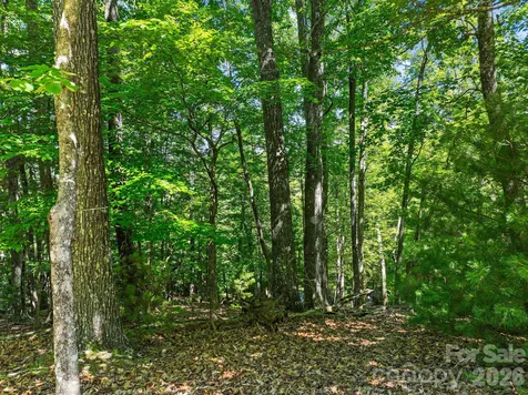 472 Mills River Way Horse Shoe NC 28742