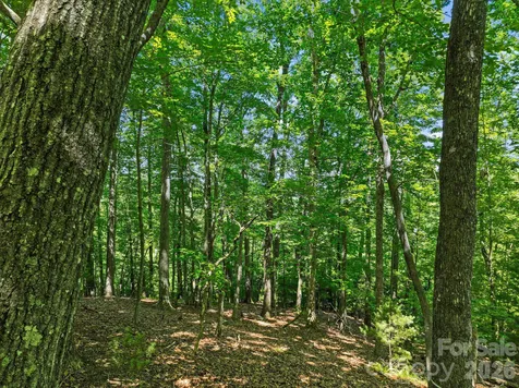 472 Mills River Way Horse Shoe NC 28742