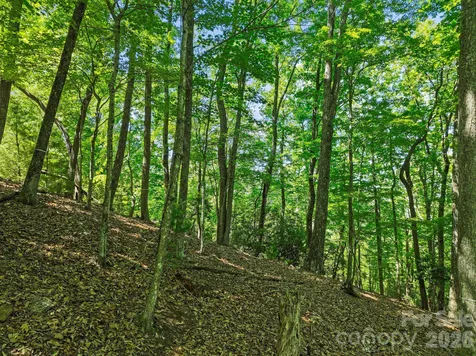472 Mills River Way Horse Shoe NC 28742