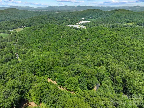 472 Mills River Way Horse Shoe NC 28742