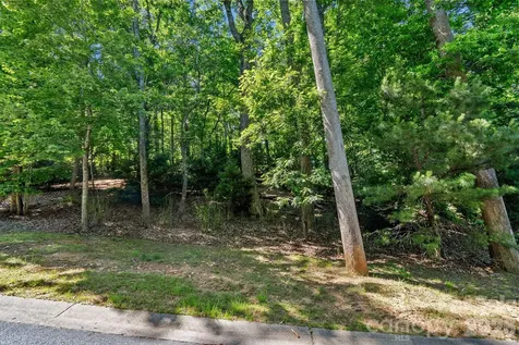 472 Mills River Way Horse Shoe NC 28742