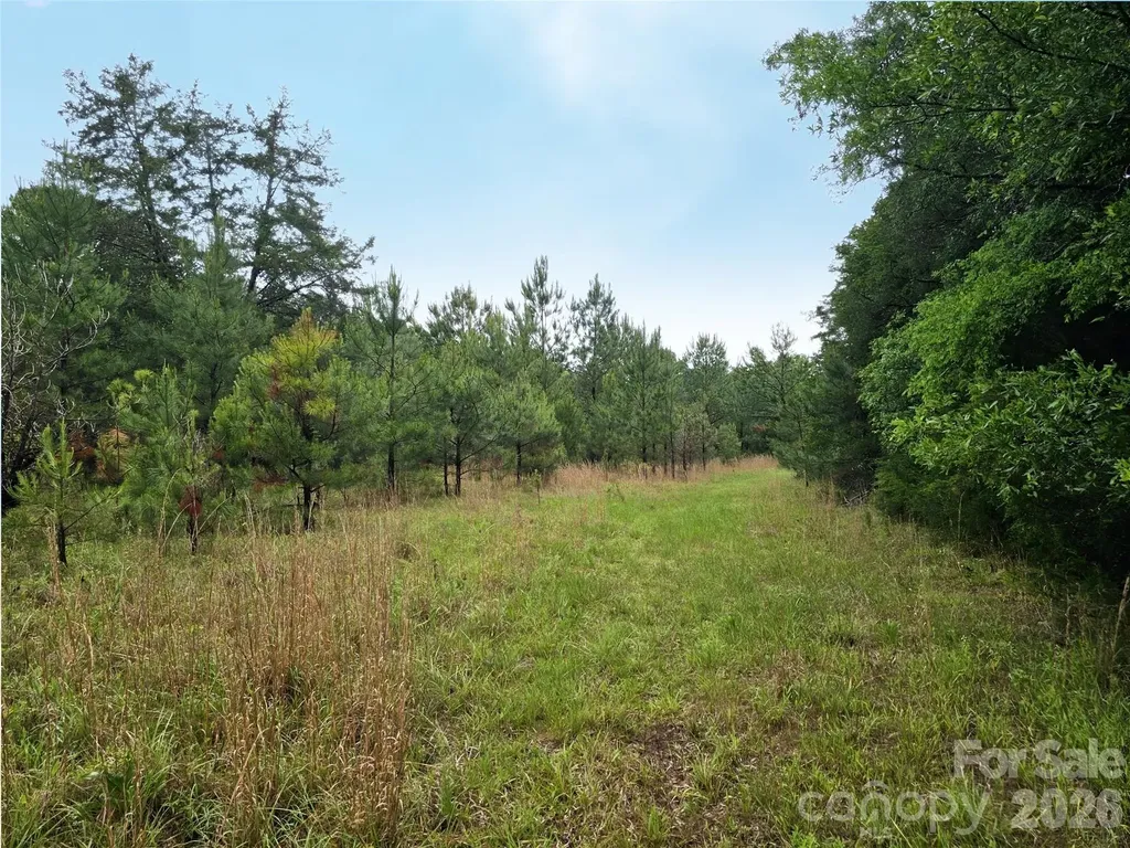 0000 Shirley Road Fort Lawn SC 29714
