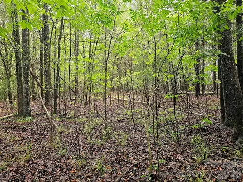 0000 Shirley Road Fort Lawn SC 29714