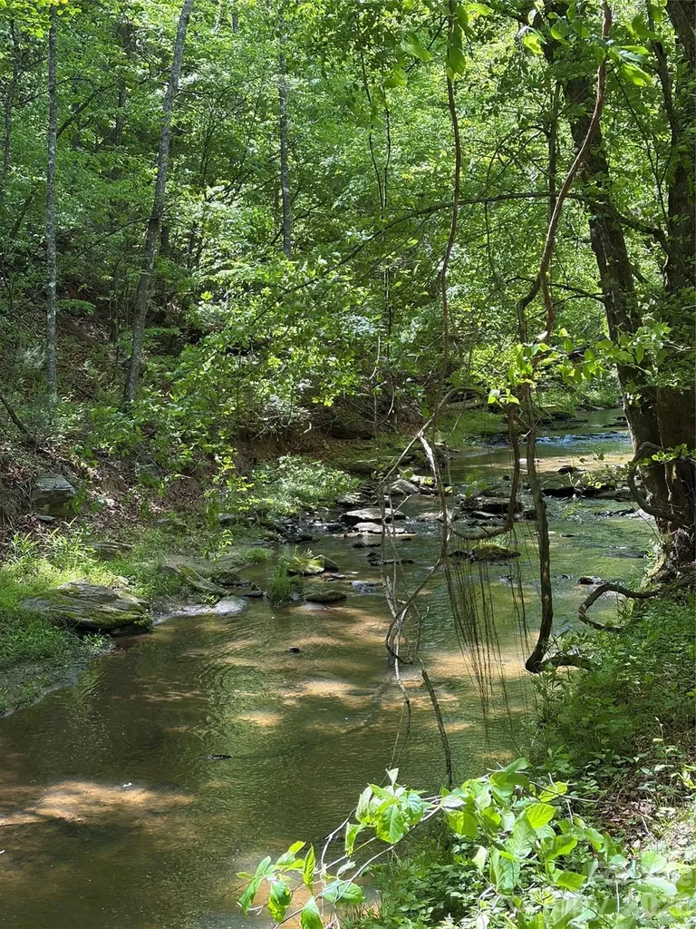 8186 Old Nc Highway 60 Roaring River NC 28697