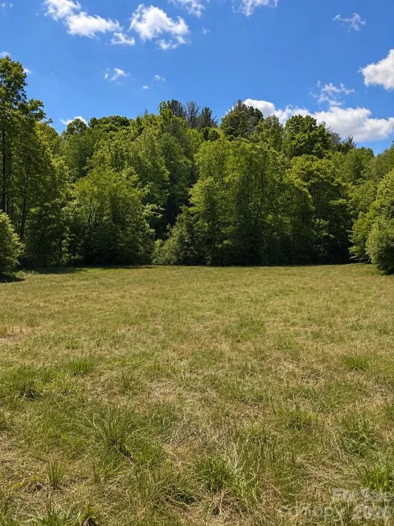 8186 Old Nc Highway 60 Roaring River NC 28697