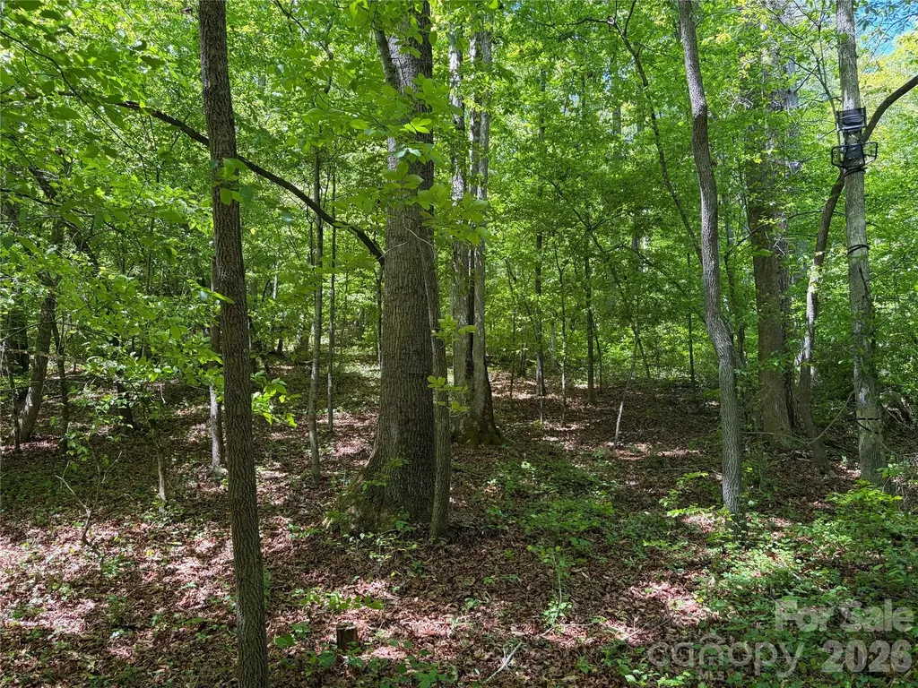 8186 Old Nc Highway 60 Roaring River NC 28697