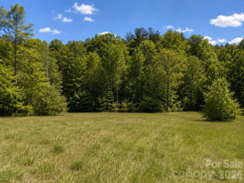 8186 Old Nc Highway 60 Roaring River NC 28697