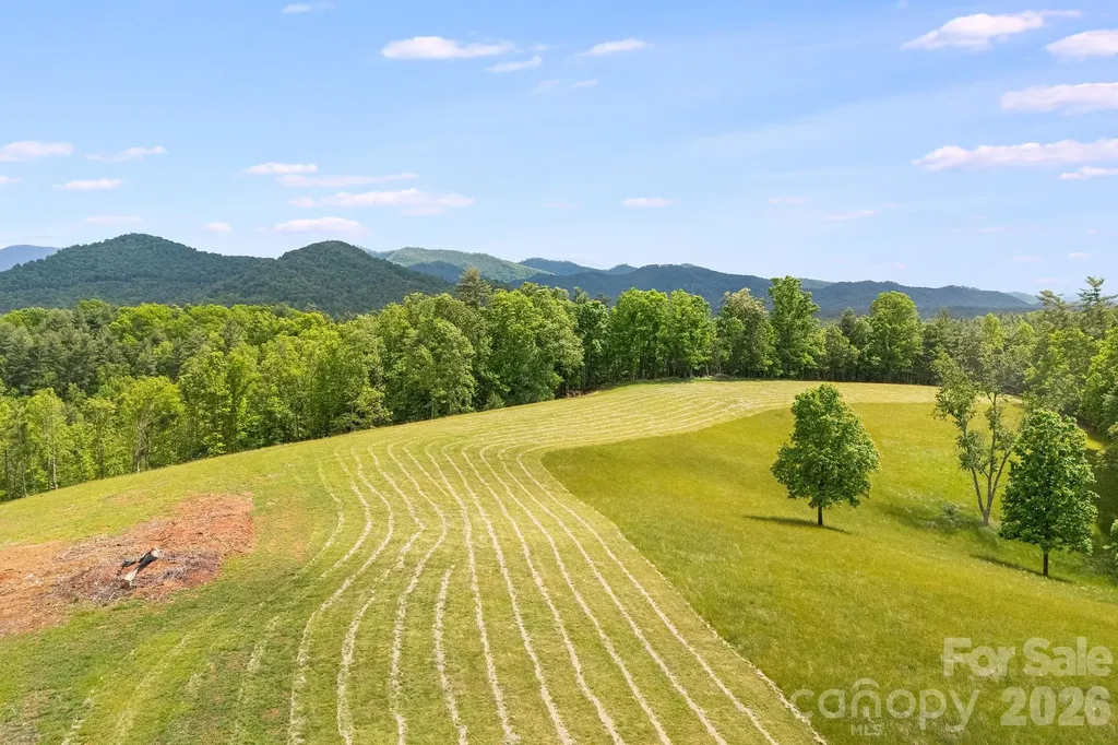 Tbd California Creek Road Mars Hill NC 28754
