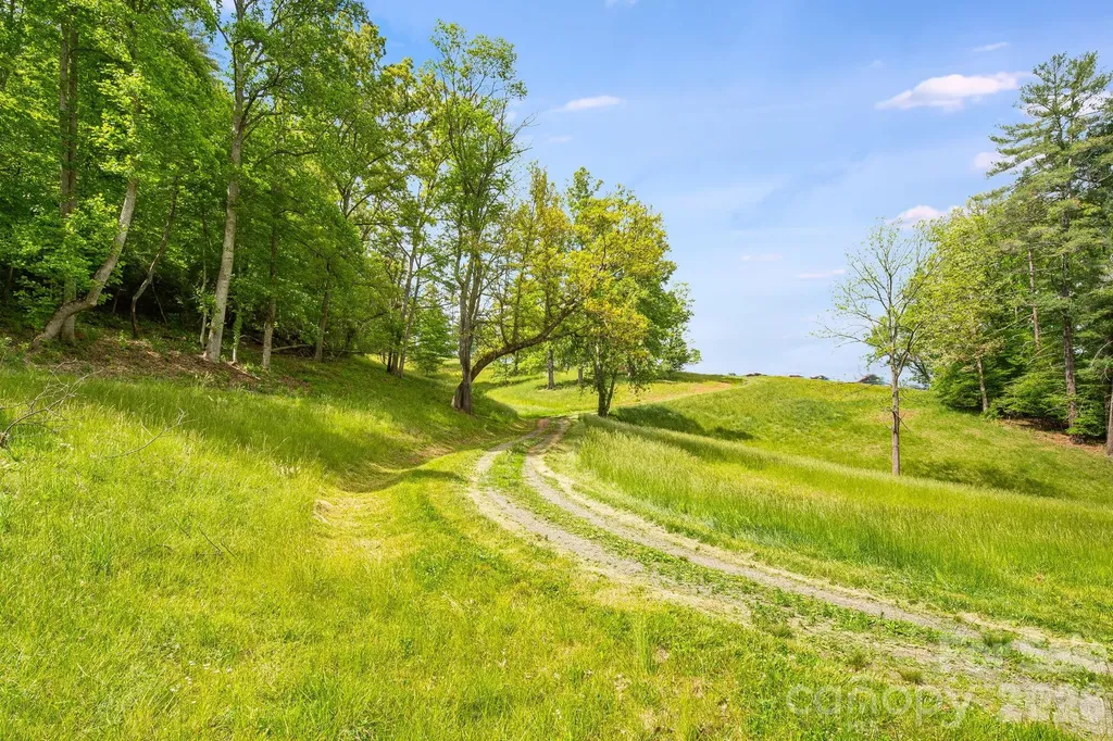 Tbd California Creek Road Mars Hill NC 28754